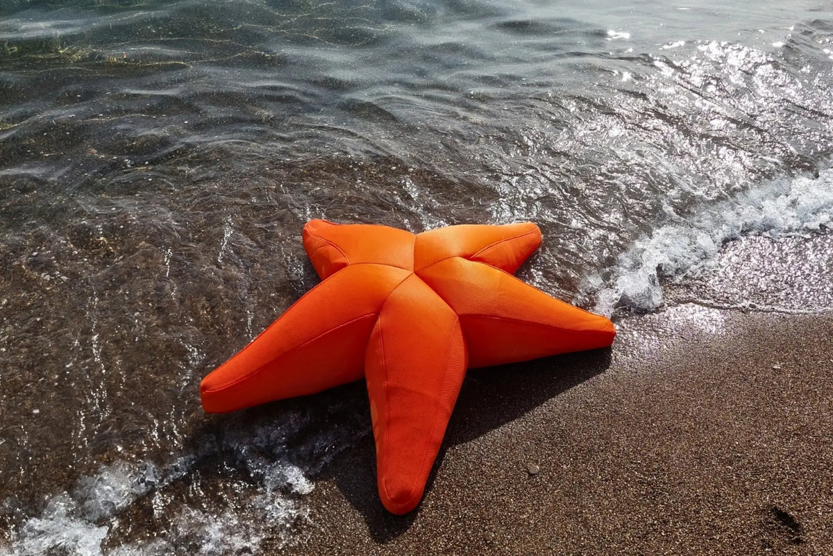 Starfish